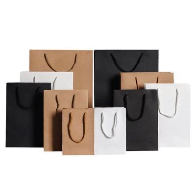 Recyclable Promotional Bio Paper Bags for Gift