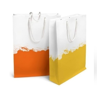 Promotional Paper Bag